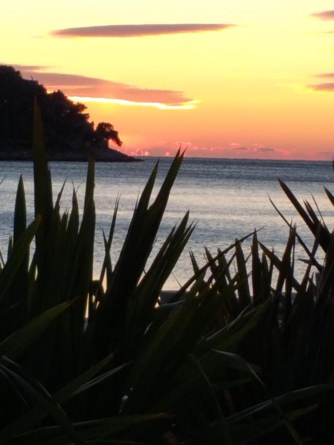 Vlasta Mali Lošinj Esterno foto