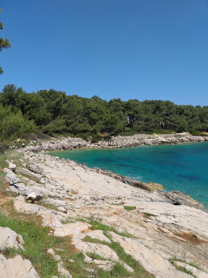 Vlasta Mali Lošinj Esterno foto