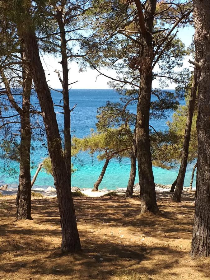 Vlasta Mali Lošinj Esterno foto